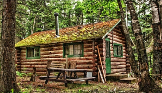 A image of a cabin in the forest