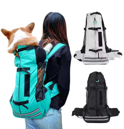 Dog Backpack Carrier - Cozy 1