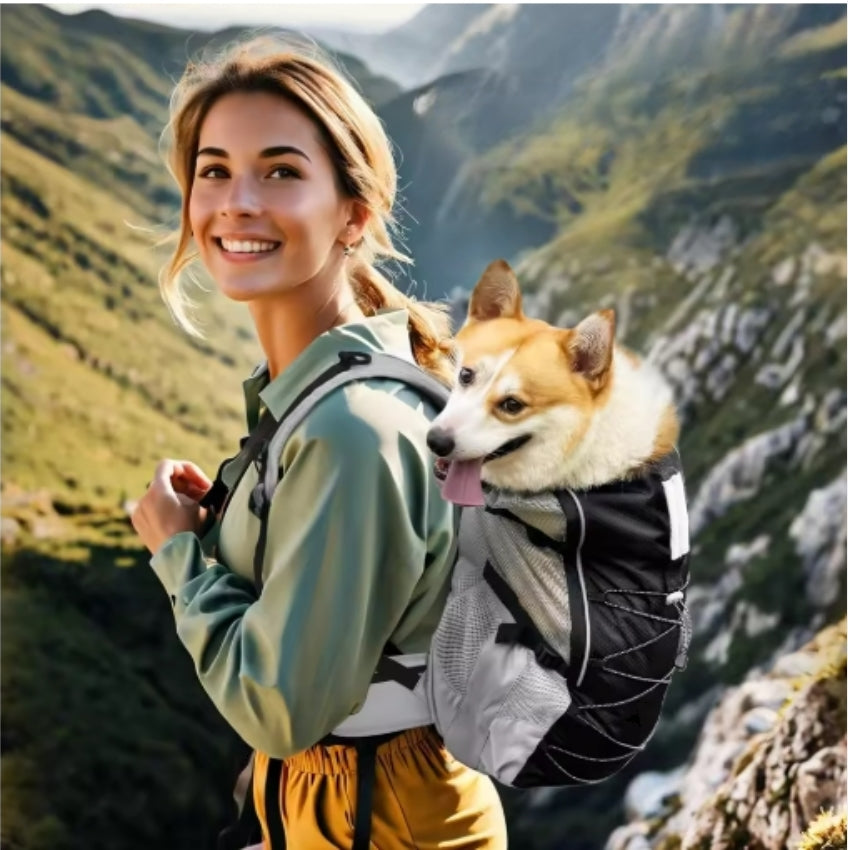 Dog Backpack Carrier - Cozy 2