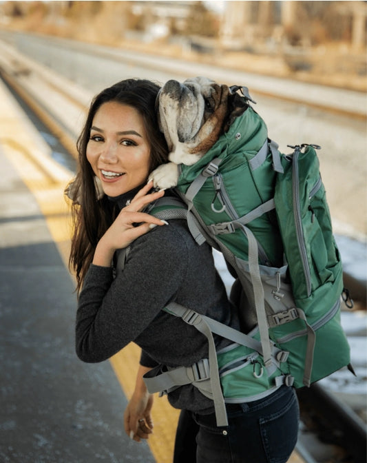 Girl with bulldog in green backpack carrier