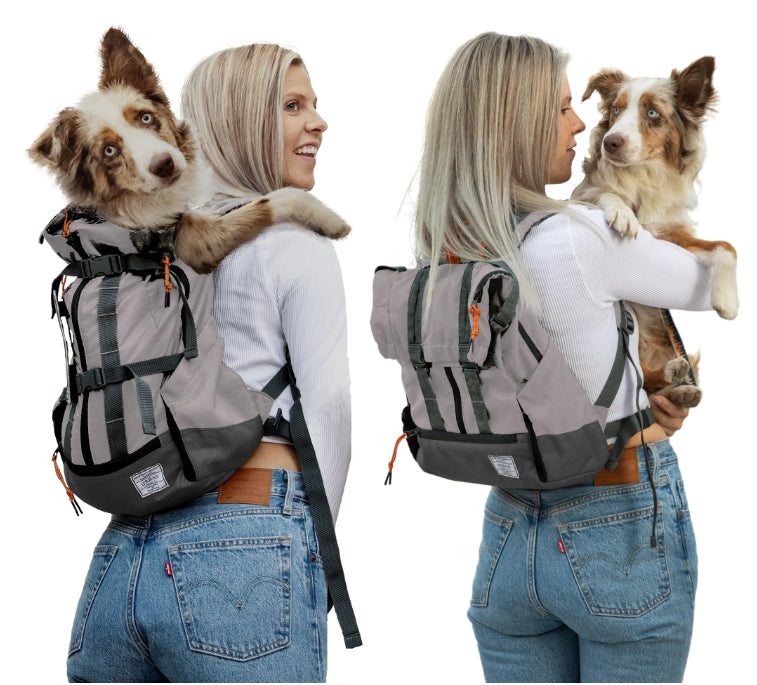 Two images of a dog in a backpack carrier