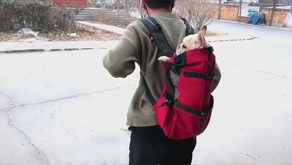 Dog Backpack Carrier - Cozy 2